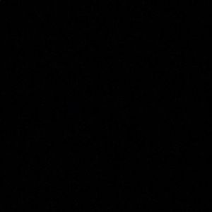 Meet your Posher, Leena